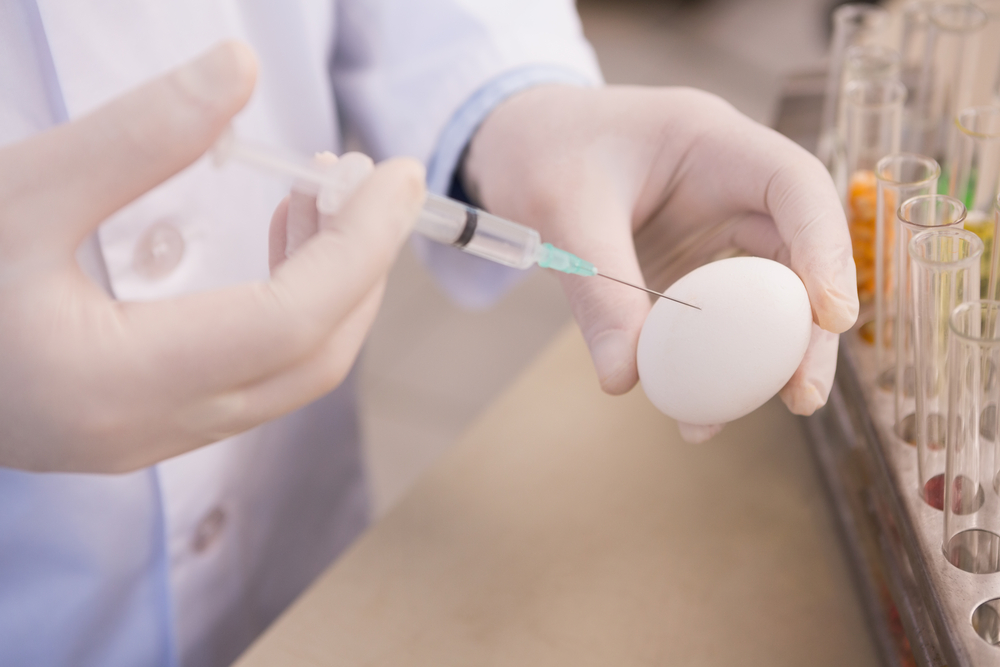 Food scientist examining an egg in laboratory