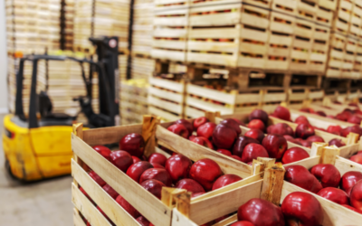 When the Ground Keeps Shifting: How Tariff Uncertainty Is Disrupting the Food Industry
