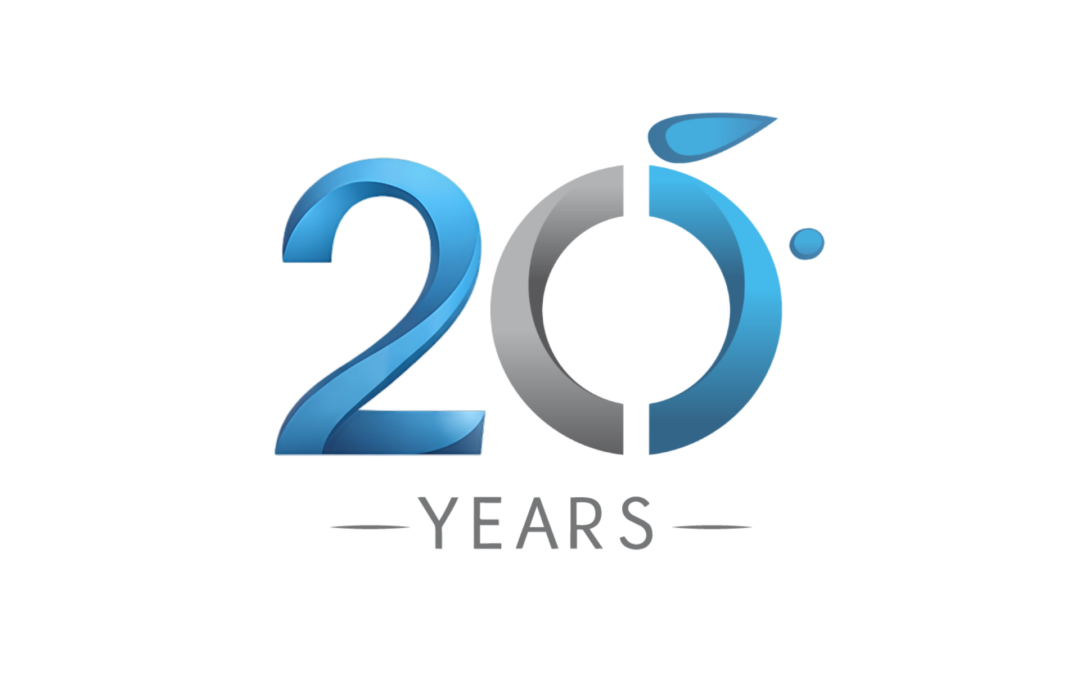 20 Years, 20 Lessons: What Two Decades in Business Taught Me About Success, People, and Purpose